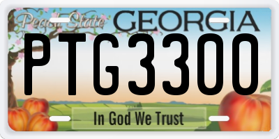 GA license plate PTG3300