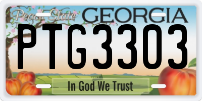 GA license plate PTG3303