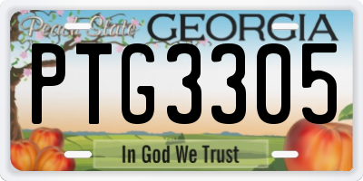 GA license plate PTG3305