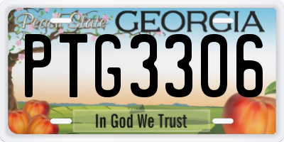 GA license plate PTG3306