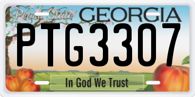 GA license plate PTG3307
