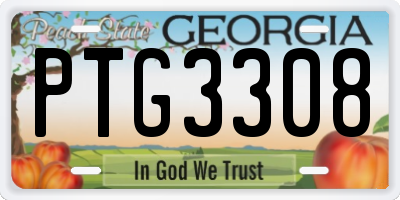 GA license plate PTG3308