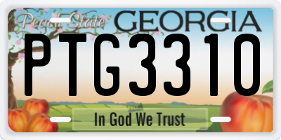 GA license plate PTG3310