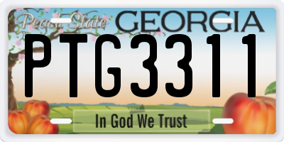 GA license plate PTG3311
