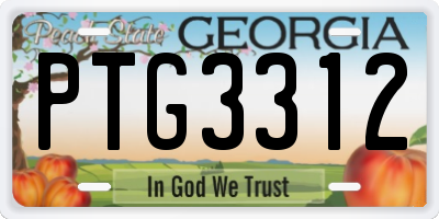 GA license plate PTG3312