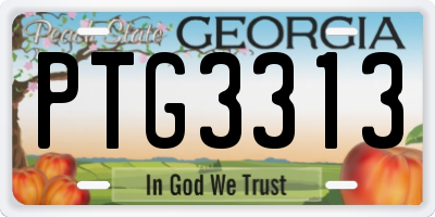 GA license plate PTG3313