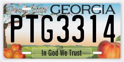 GA license plate PTG3314