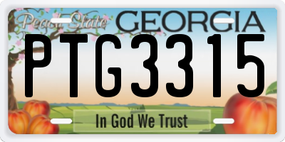 GA license plate PTG3315