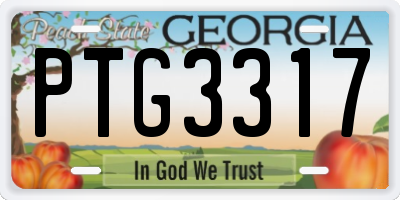 GA license plate PTG3317