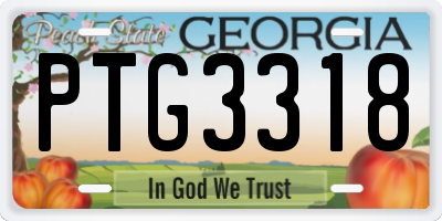 GA license plate PTG3318