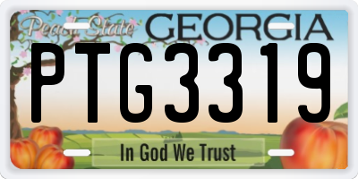 GA license plate PTG3319