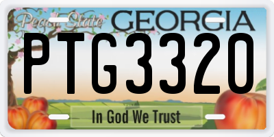 GA license plate PTG3320