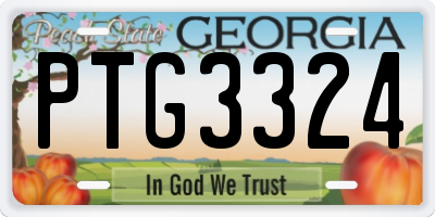 GA license plate PTG3324