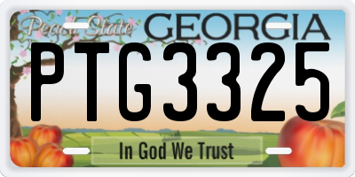 GA license plate PTG3325