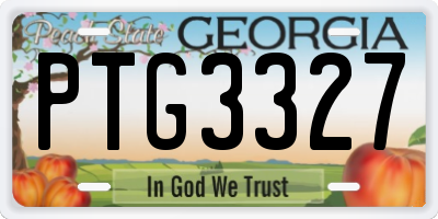 GA license plate PTG3327