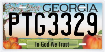GA license plate PTG3329