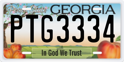 GA license plate PTG3334