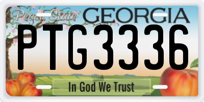 GA license plate PTG3336