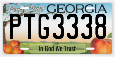 GA license plate PTG3338
