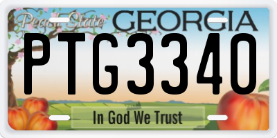 GA license plate PTG3340