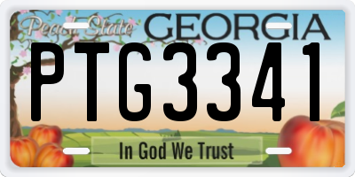 GA license plate PTG3341