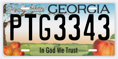 GA license plate PTG3343