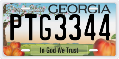 GA license plate PTG3344
