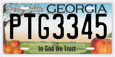 GA license plate PTG3345