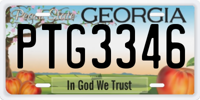 GA license plate PTG3346