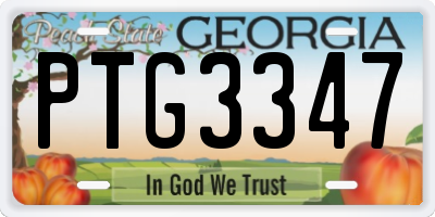 GA license plate PTG3347