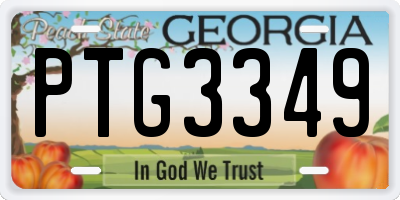 GA license plate PTG3349