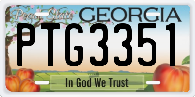 GA license plate PTG3351