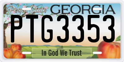 GA license plate PTG3353