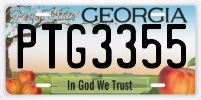 GA license plate PTG3355