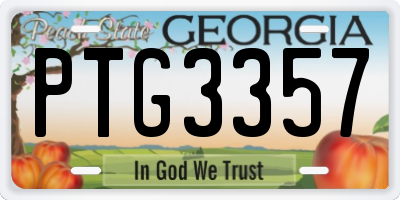 GA license plate PTG3357