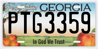 GA license plate PTG3359