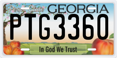GA license plate PTG3360
