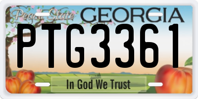 GA license plate PTG3361