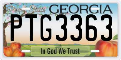 GA license plate PTG3363