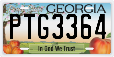 GA license plate PTG3364