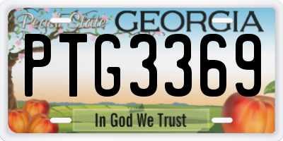 GA license plate PTG3369