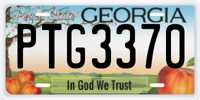 GA license plate PTG3370