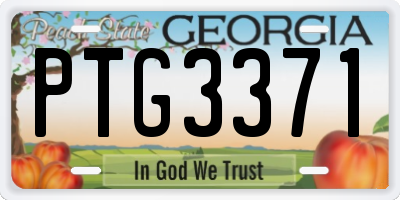 GA license plate PTG3371