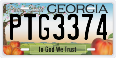 GA license plate PTG3374
