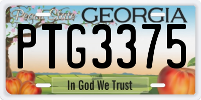 GA license plate PTG3375