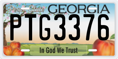 GA license plate PTG3376