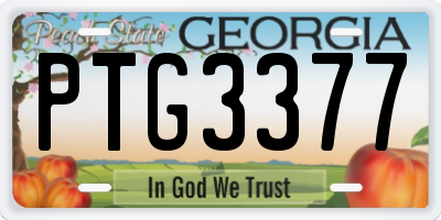 GA license plate PTG3377