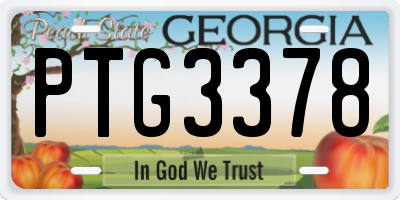 GA license plate PTG3378