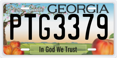 GA license plate PTG3379