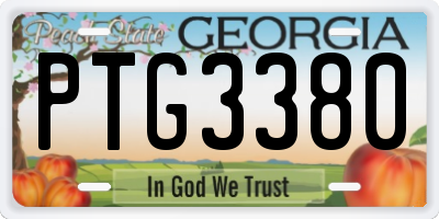 GA license plate PTG3380